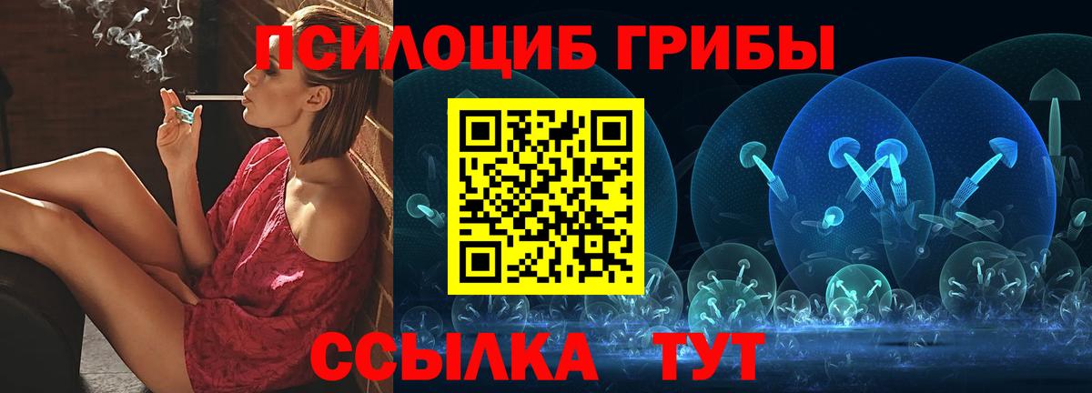Елец  Псилоцибиновые грибы прущие грибы  Вход с VPN 