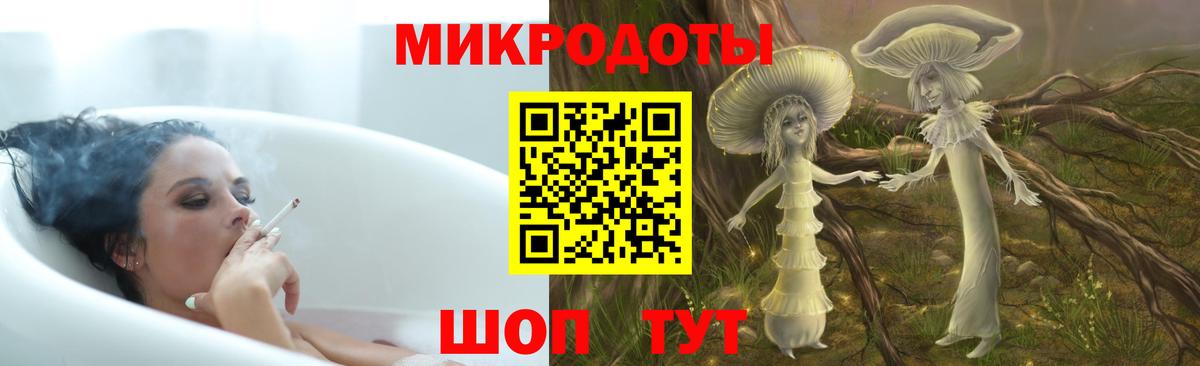 Псилоцибиновые грибы Psilocybe Елец